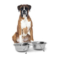 Ciotola per cani e gatti acciaio inox set doppio con supporto