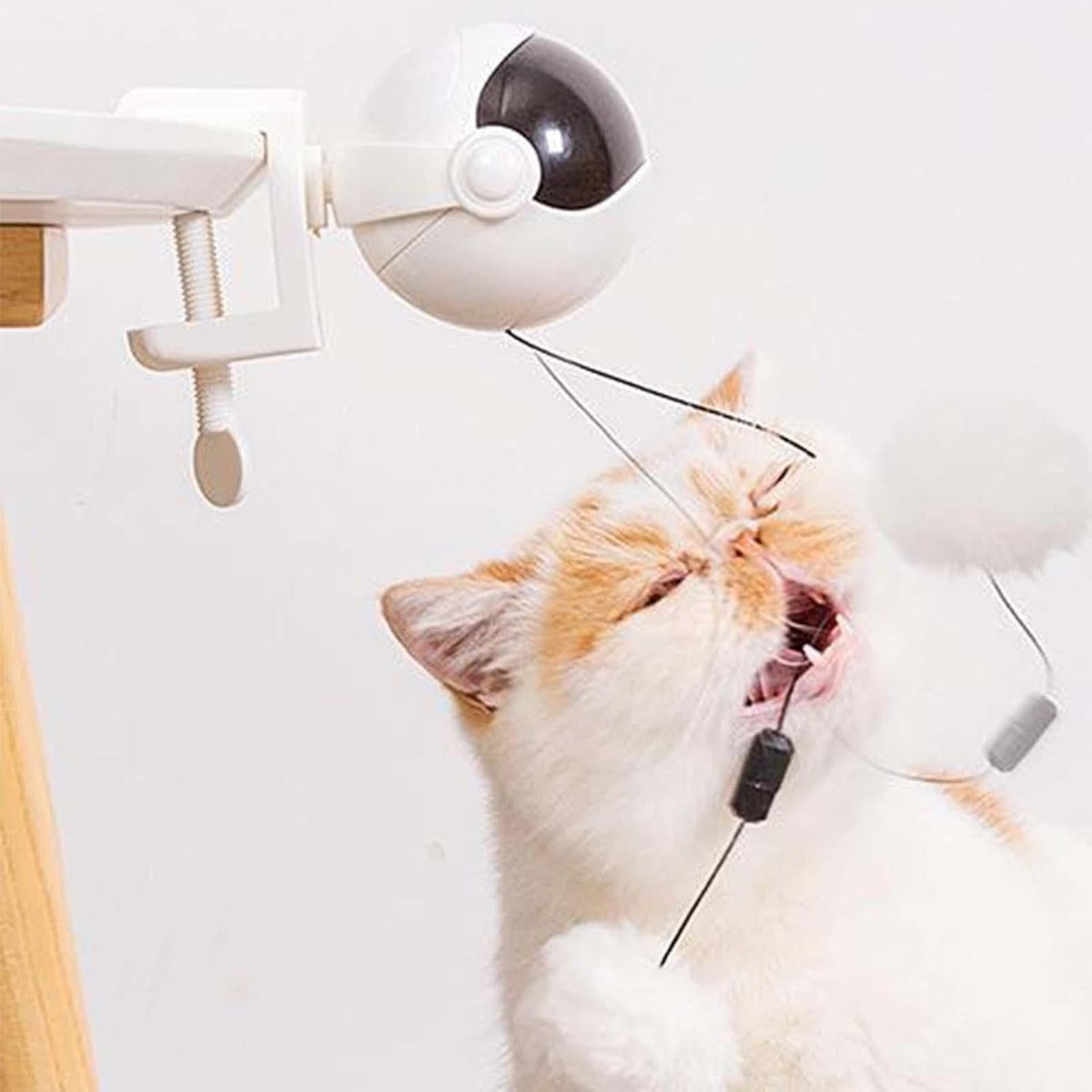 Palla Giocattolo Elettrica per Gatti: Auto-Sollevante e Interattiva per l'Intrattenimento del Tuo Amico Felino