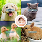 Cuccia per gatti da casa, cucce per gatti lavabili in lavatrice con fondo antiscivolo, casa per gatti da interni o cani di piccola taglia, cucciolo, gattino.