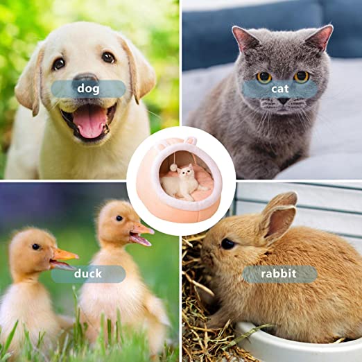Cuccia per gatti da casa, cucce per gatti lavabili in lavatrice con fondo antiscivolo, casa per gatti da interni o cani di piccola taglia, cucciolo, gattino.