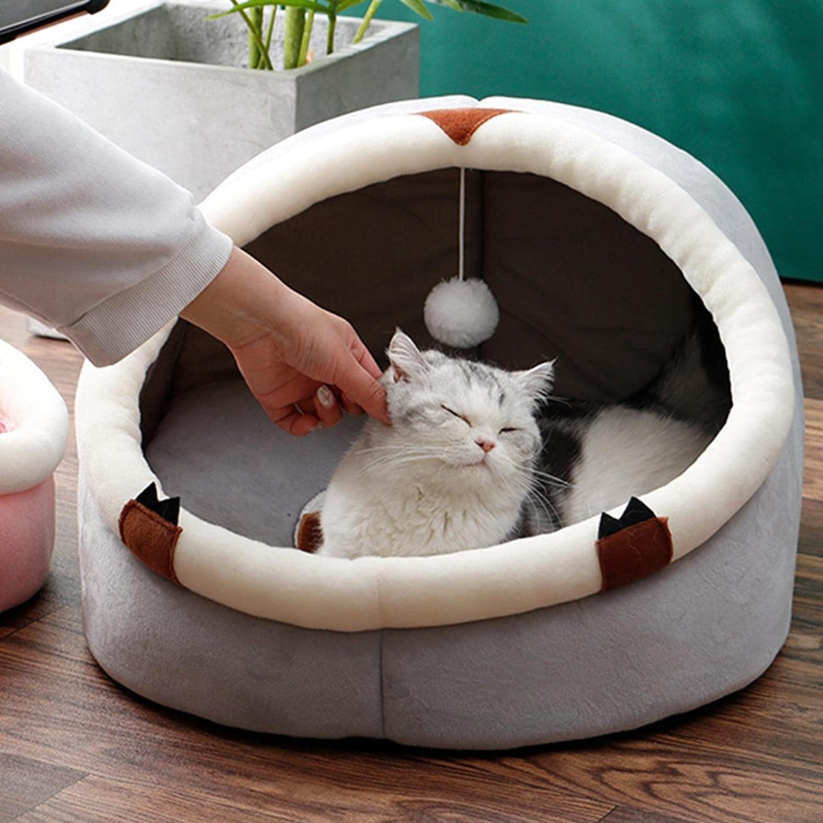 Cuccia per animali domestici in peluche per dormire per cani di piccola taglia comodo posto per dormire con cuscino interno morbido anti-scivolo