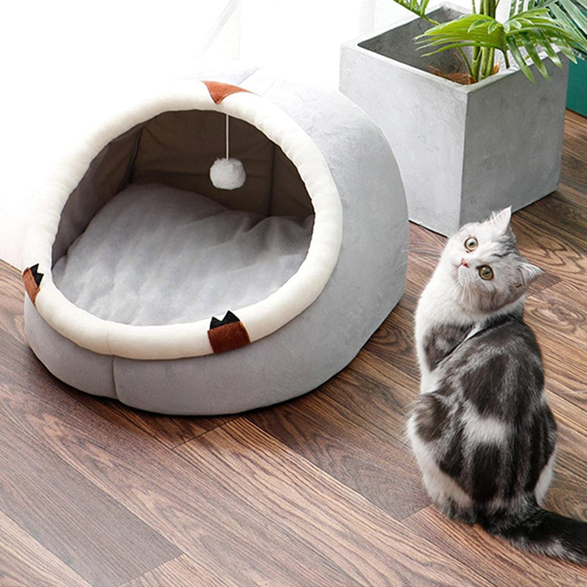 Cuccia per animali domestici in peluche per dormire per cani di piccola taglia comodo posto per dormire con cuscino interno morbido anti-scivolo