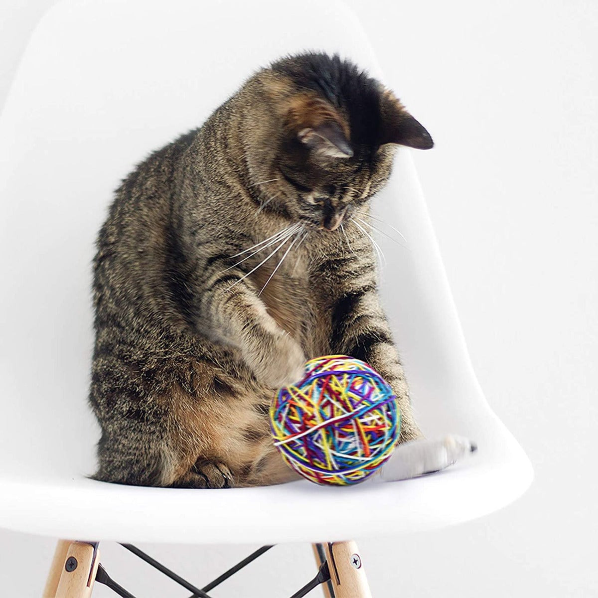 Gioco per Gatto Palla Di Lana con campanella incorporata - intrattenimento per gatti -stimolazione del movimento e della creatività