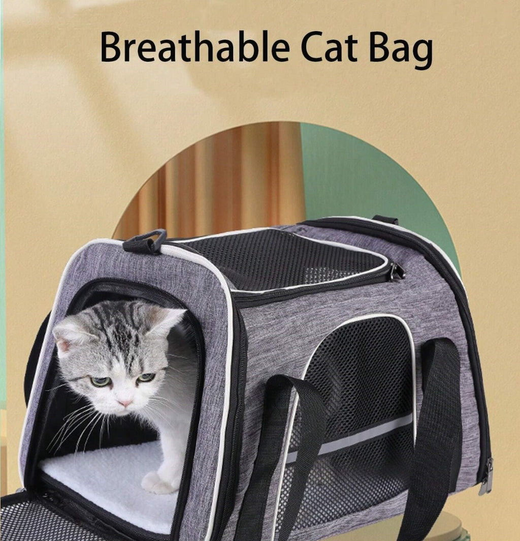Trasportino per cani borsa da viaggio per gatti borsa da trasporto