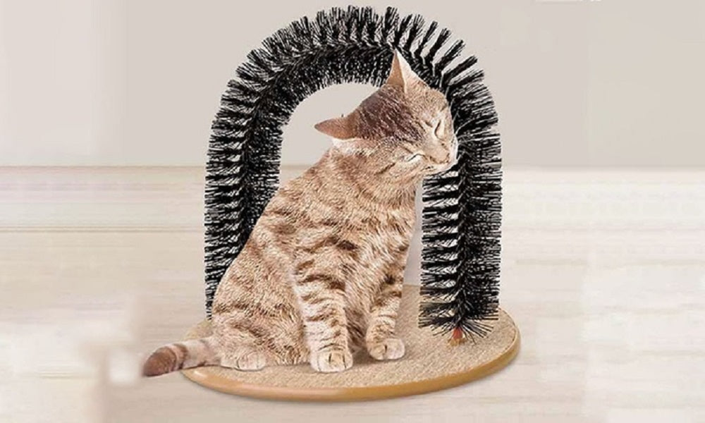 Spazzola Per Massaggio Gatti A Forma Di Arco Con Base Tiragraffi Cat