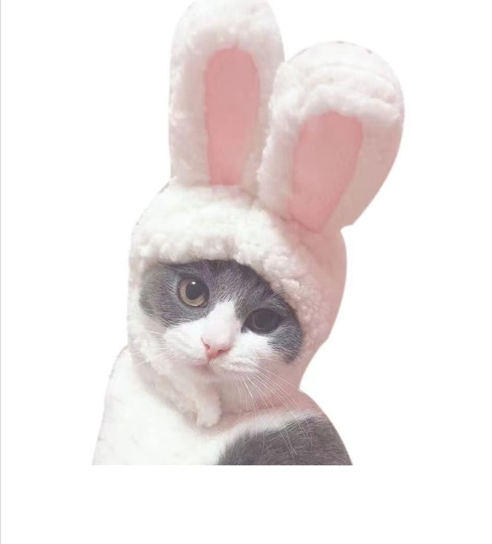 Cappello da Coniglio per Gatti Costume da Coniglio per Pasqua Compleanno Halloween