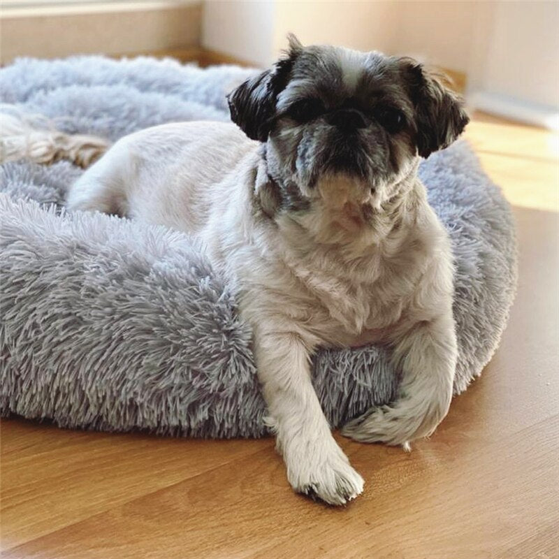 Cuccia di peluche a forma di ciambella per gatti e cani super morbida con base antiscivolo