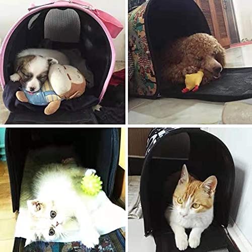 Trasportino per gatti e cani impermeabile zaino per animali domestici per viaggio borsa da trasporto per cani e gatto