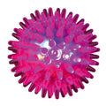 Palla riccio lampeggiante in gomma gioco per cani da 6 cm